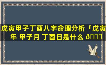 戊寅甲子丁酉八字命理分析「戊寅年 甲子月 丁酉日是什么 🐟 命」